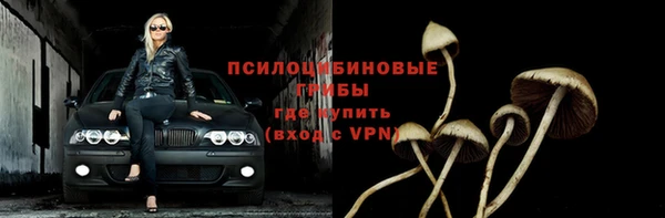 экстази Горняк