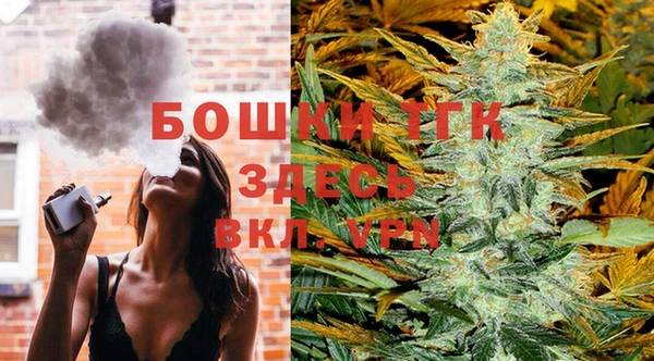 экстази Горняк