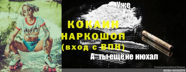 apvp Горно-Алтайск