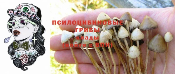 apvp Горно-Алтайск